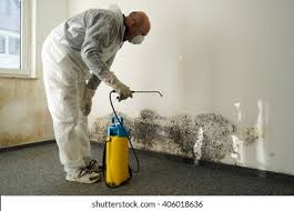 Why You Should Choose Our Mold Remediation Services in Lewiston, ID